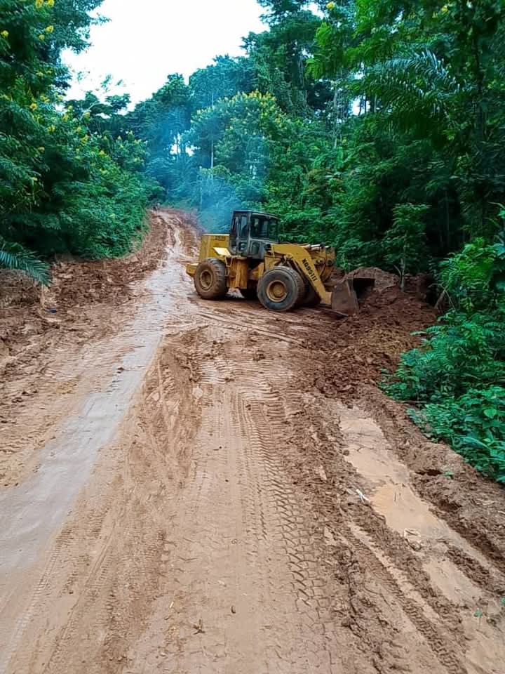 Travaux d&rsquo;aménagement et d&rsquo;abattage des arbres en bordure de route